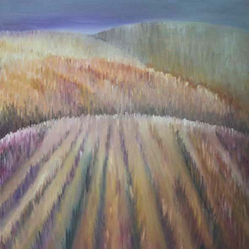 Study of Curves and Stripes